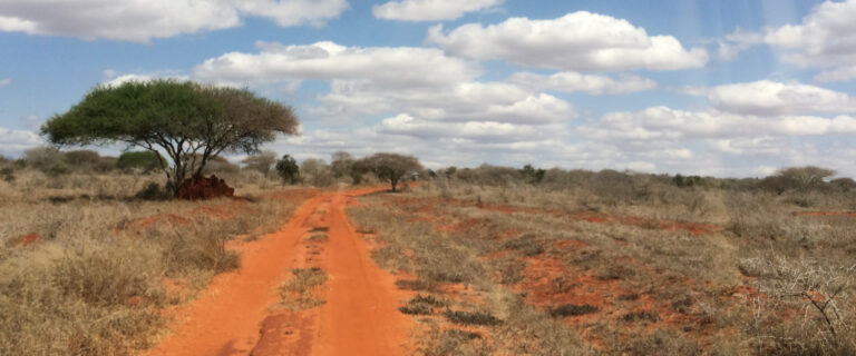 2 Days Safari (Tsavo East)National Park