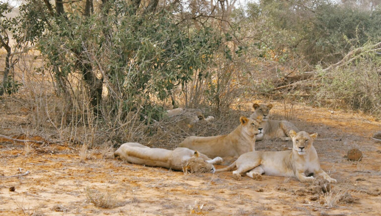 3 days tsavo east national park