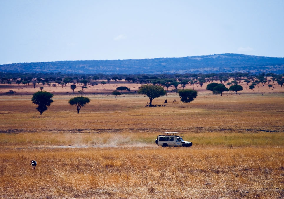 9 Days (8 Nigths) To Masaai Mara, Serengeti, Ngorongoro, Lake Manyara