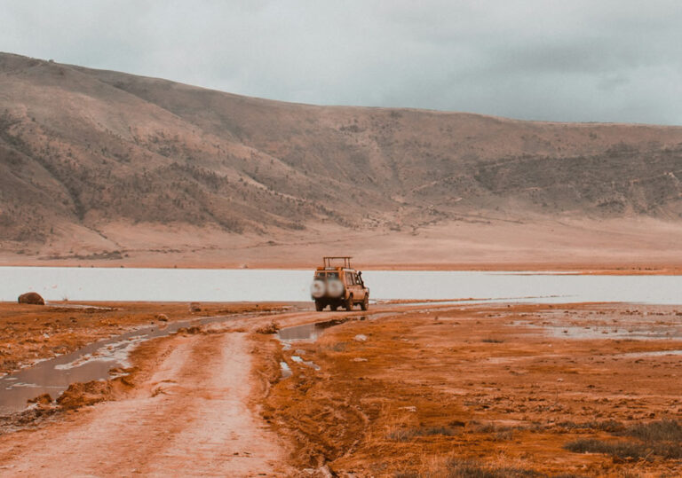 ngorongoro